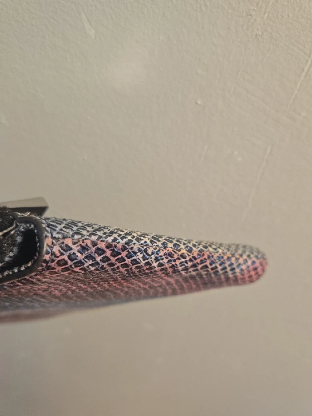 Aimee Kestenberg Multicolor Snakeskin-Print Wristlet - Picture 9 of 12